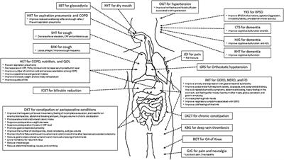 <mark class="highlighted">Kampo Medicine</mark> for Various Aging-Related Symptoms: A Review of Geriatric Syndrome